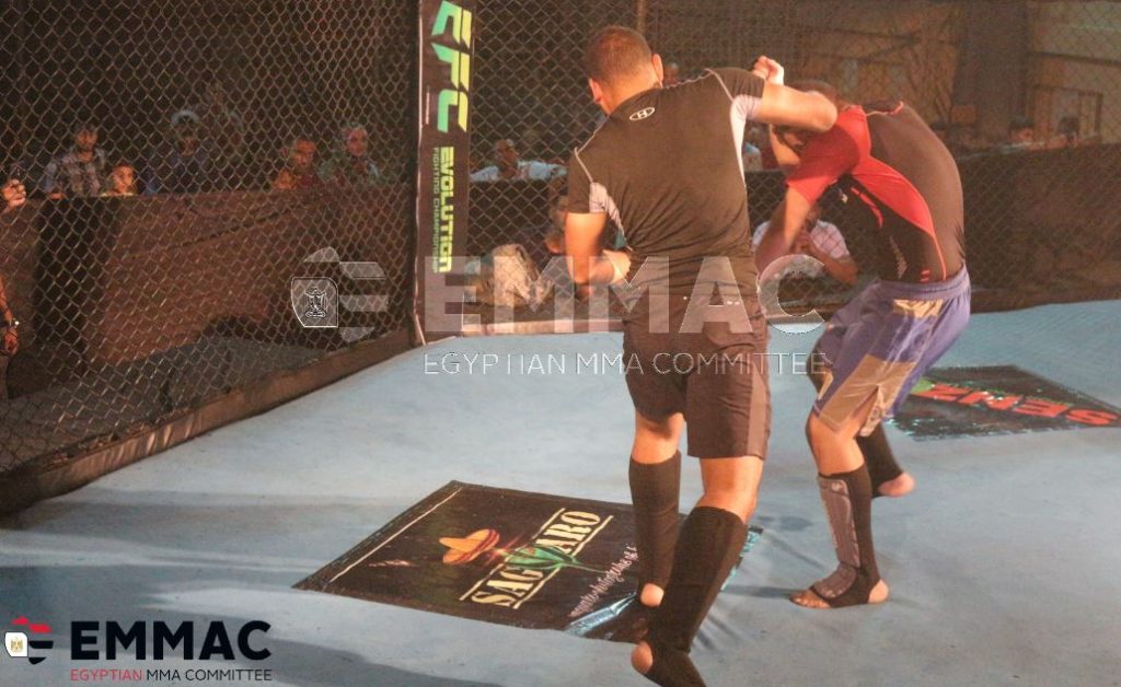Egyptian MMA Committee holds national championships in Cairo