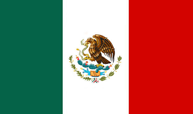 MEXICO IS LATEST NATION TO REPRESENT MMA UNDER IMMAF
