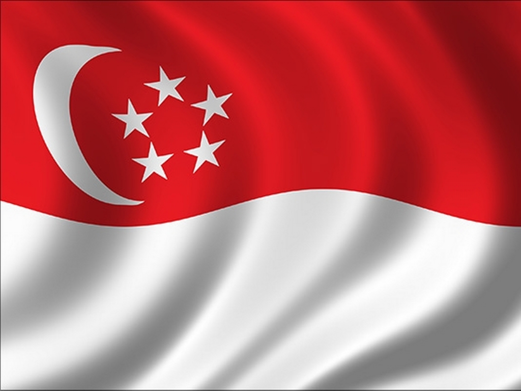 Mixed Martial Arts Federation Of Singapore Joins IMMAF