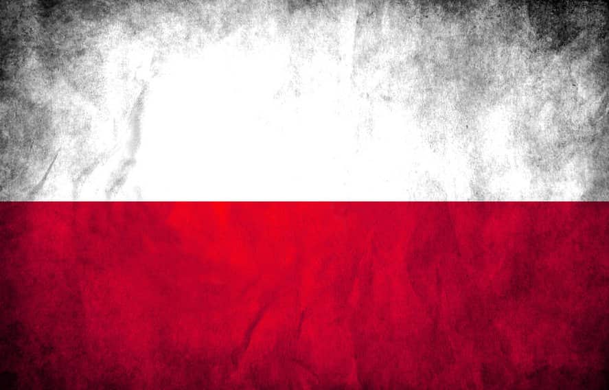 How Fading Stewardship of Polish MMA Opened the Door for Martin Lewandowski and MMA Polska Association