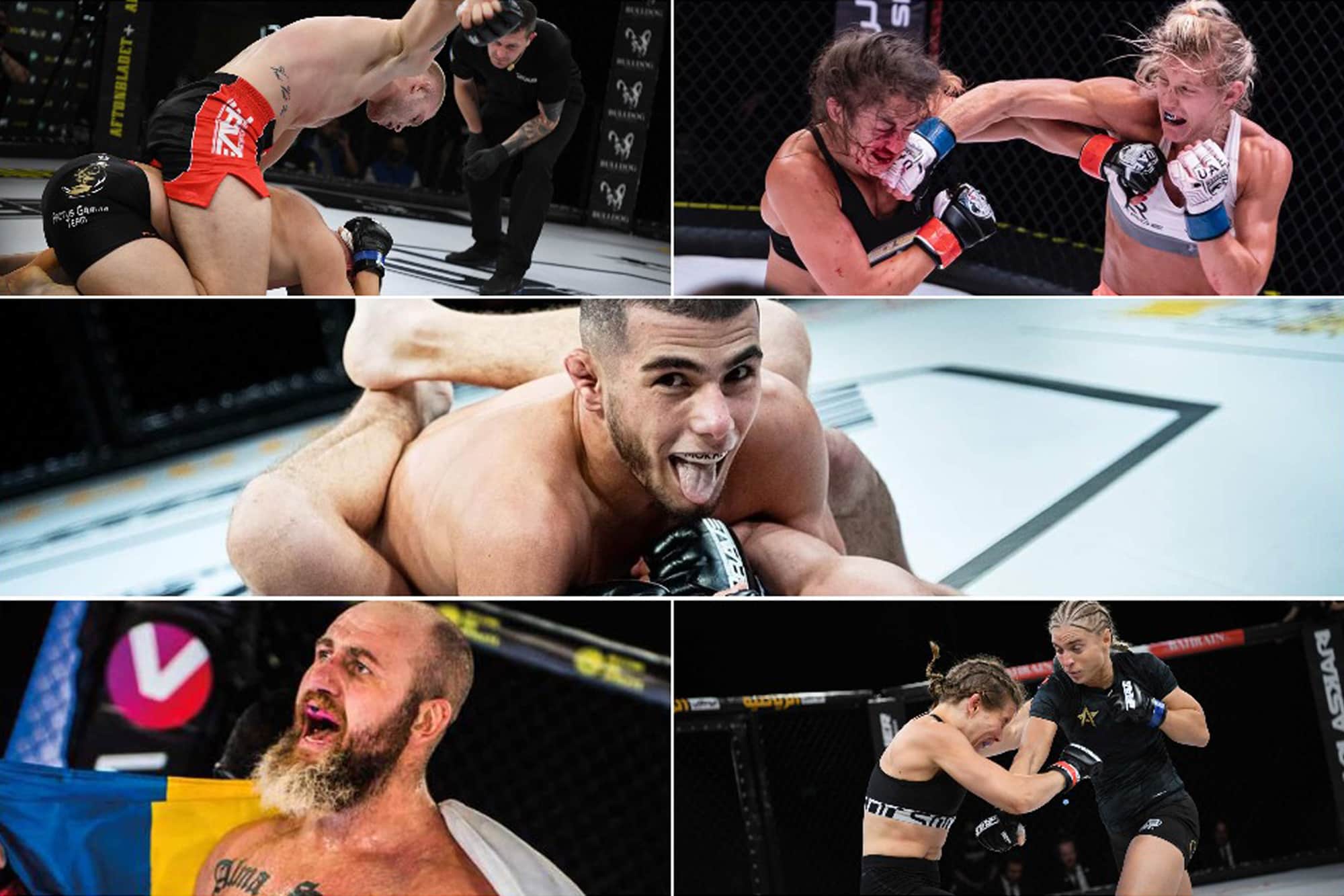 IMMAF Champions shine in weekend of Pro action