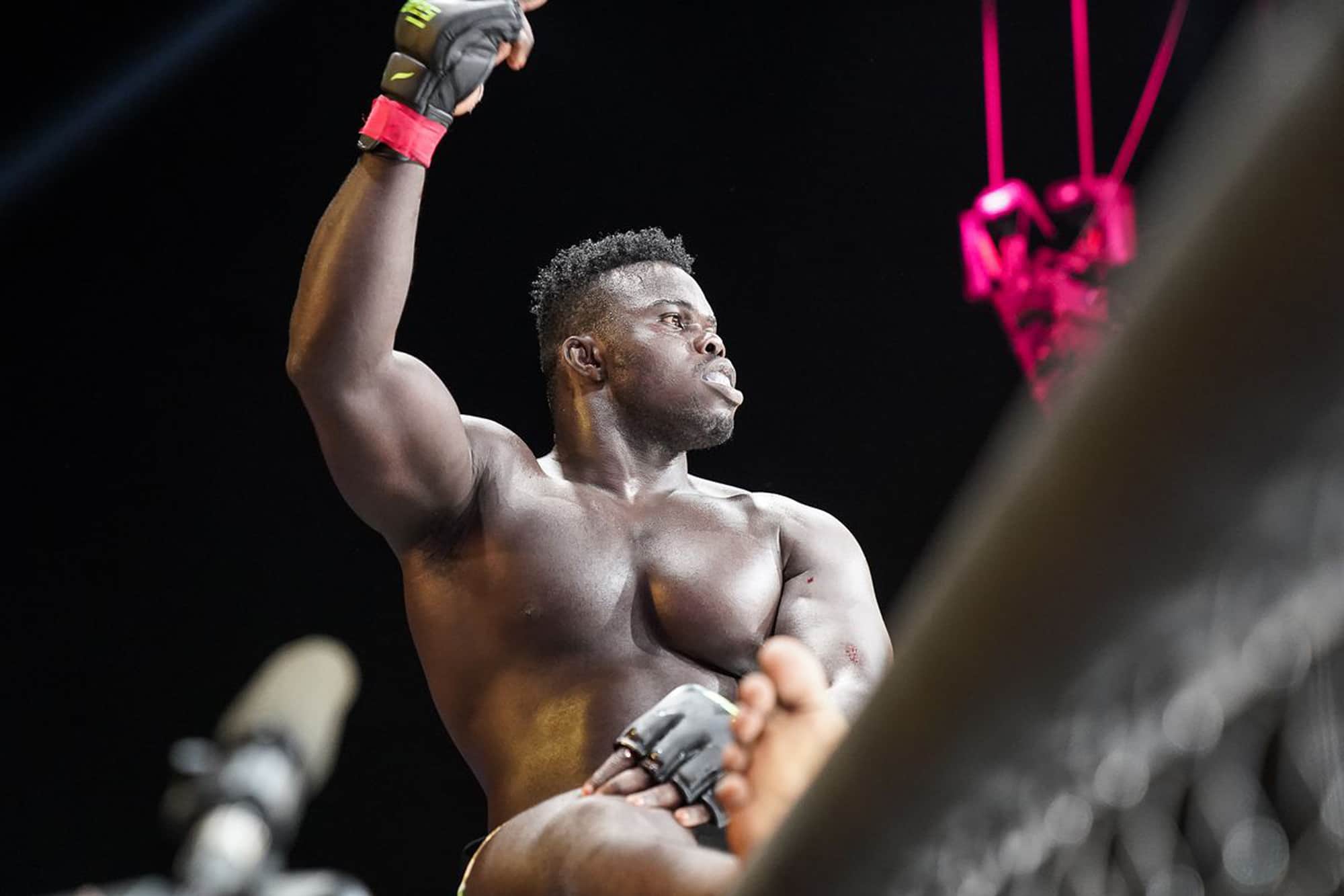 Senegalese MMA builds on rich tradition of traditional wrestling scene