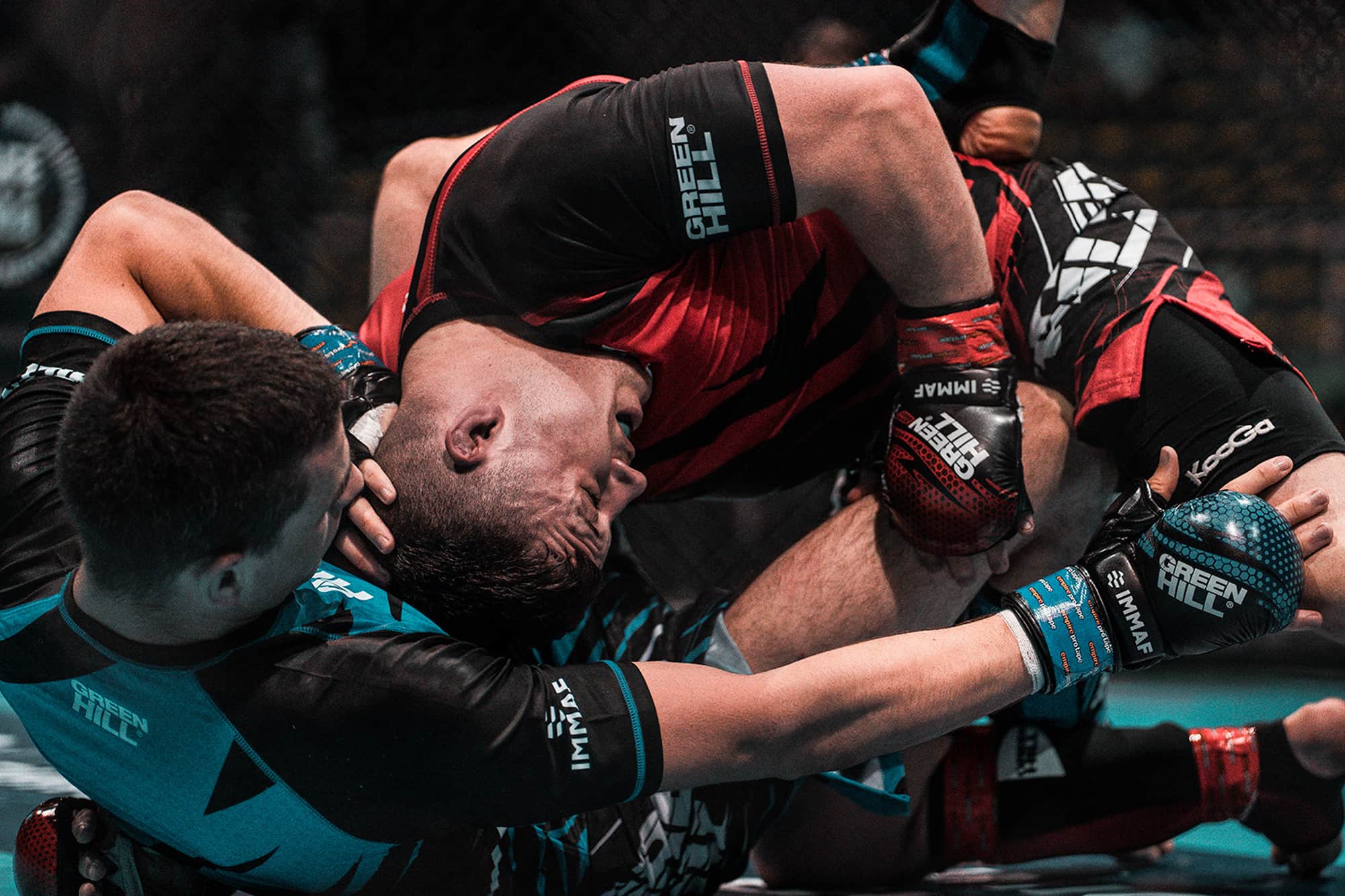 IMMAF CEO comments on Council of Europe’s new recommendations on Martial Arts & Combat Sports