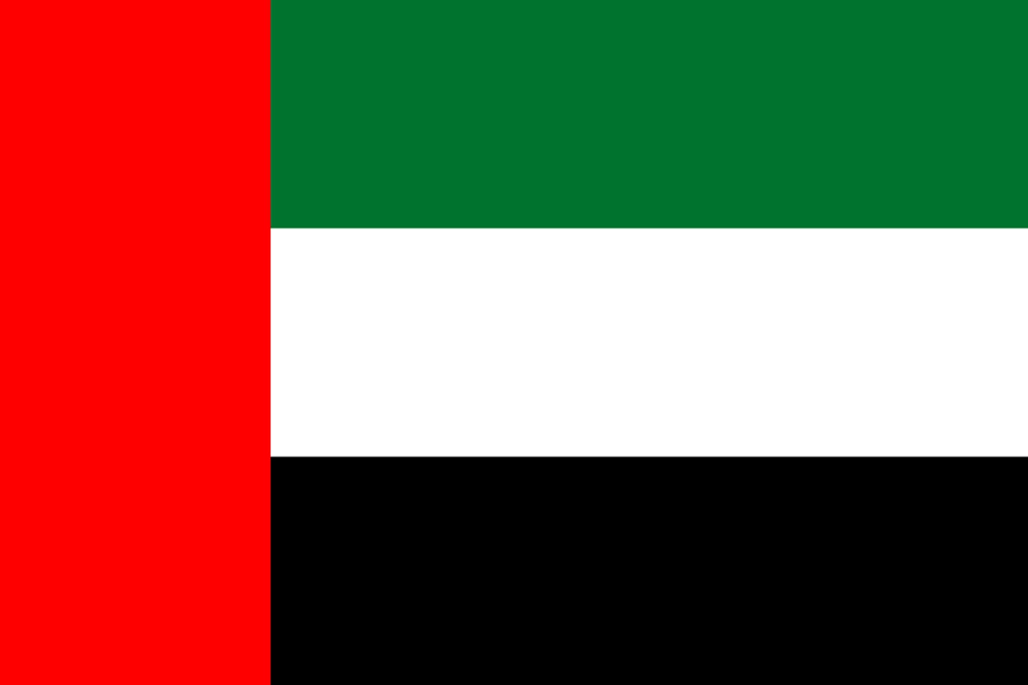 IMMAF Welcomes The UAE Mixed Martial Arts Federation
