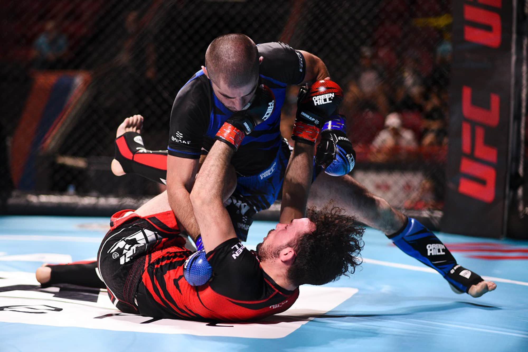 2021 IMMAF Euros: Day 2 Results & Day 3 Schedule