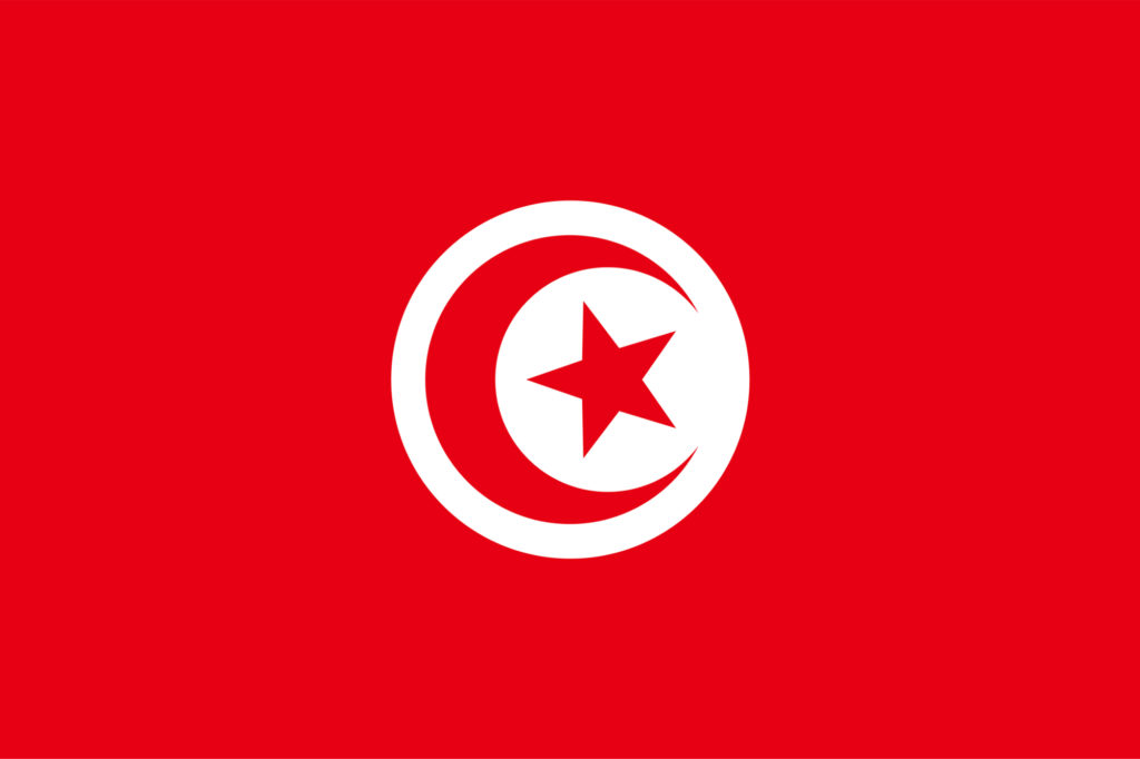 Tunisian Mixed Martial Arts Association Receives Government Recognition