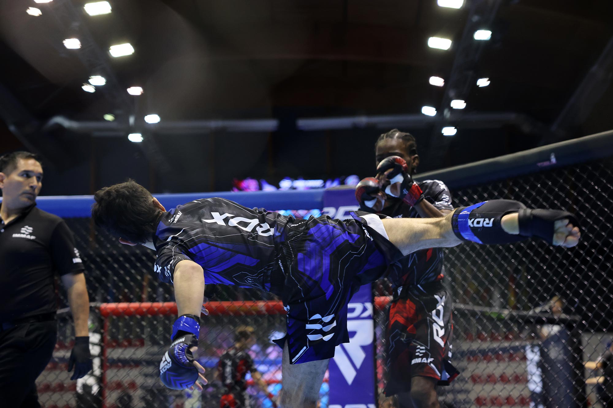 IMMAF Notifies Athletes Of 2024 Changes To The List Of Prohibited Substances And Methods