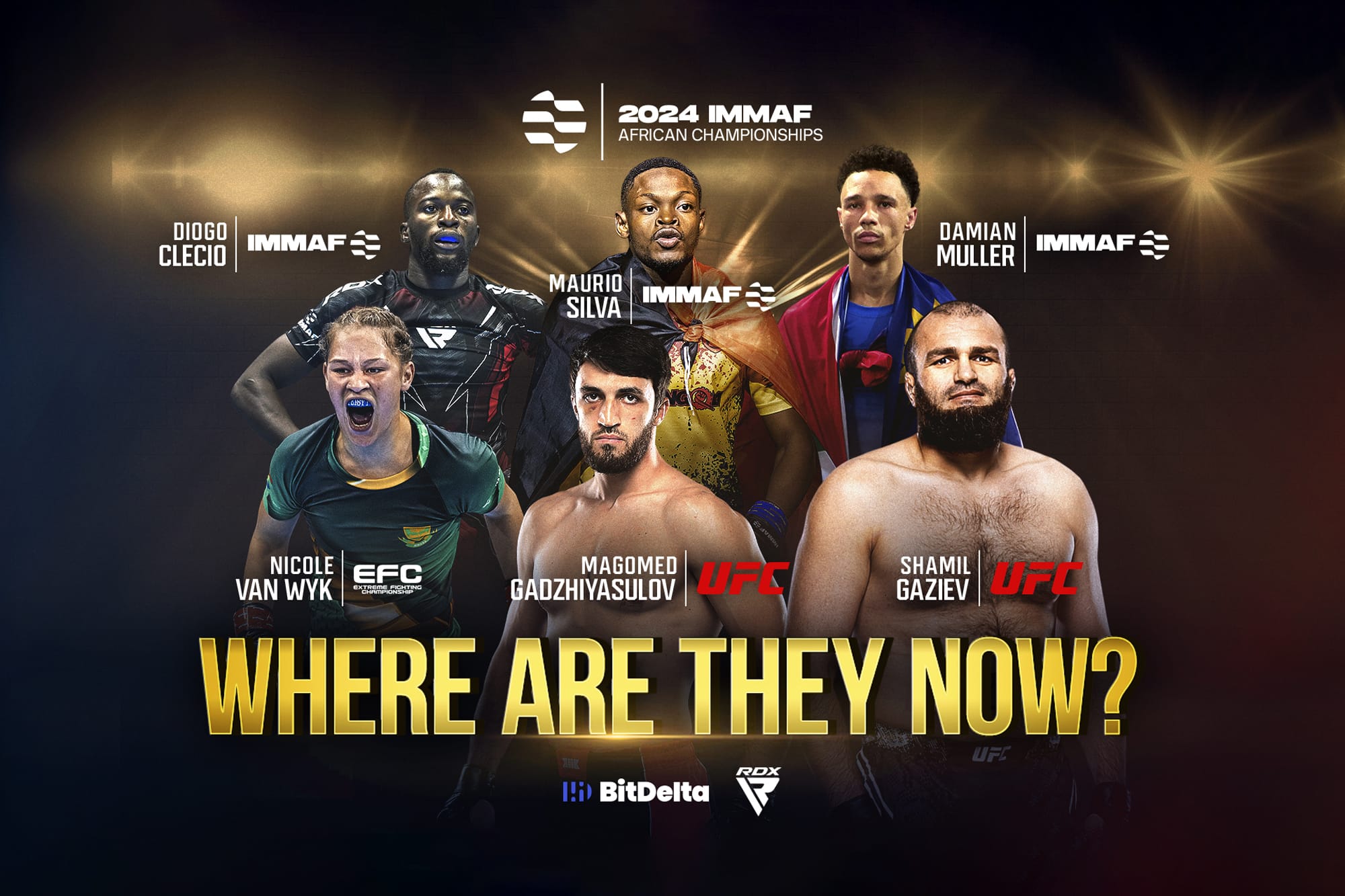 Where Are They Now – IMMAF African Championships Alumni – Part 2