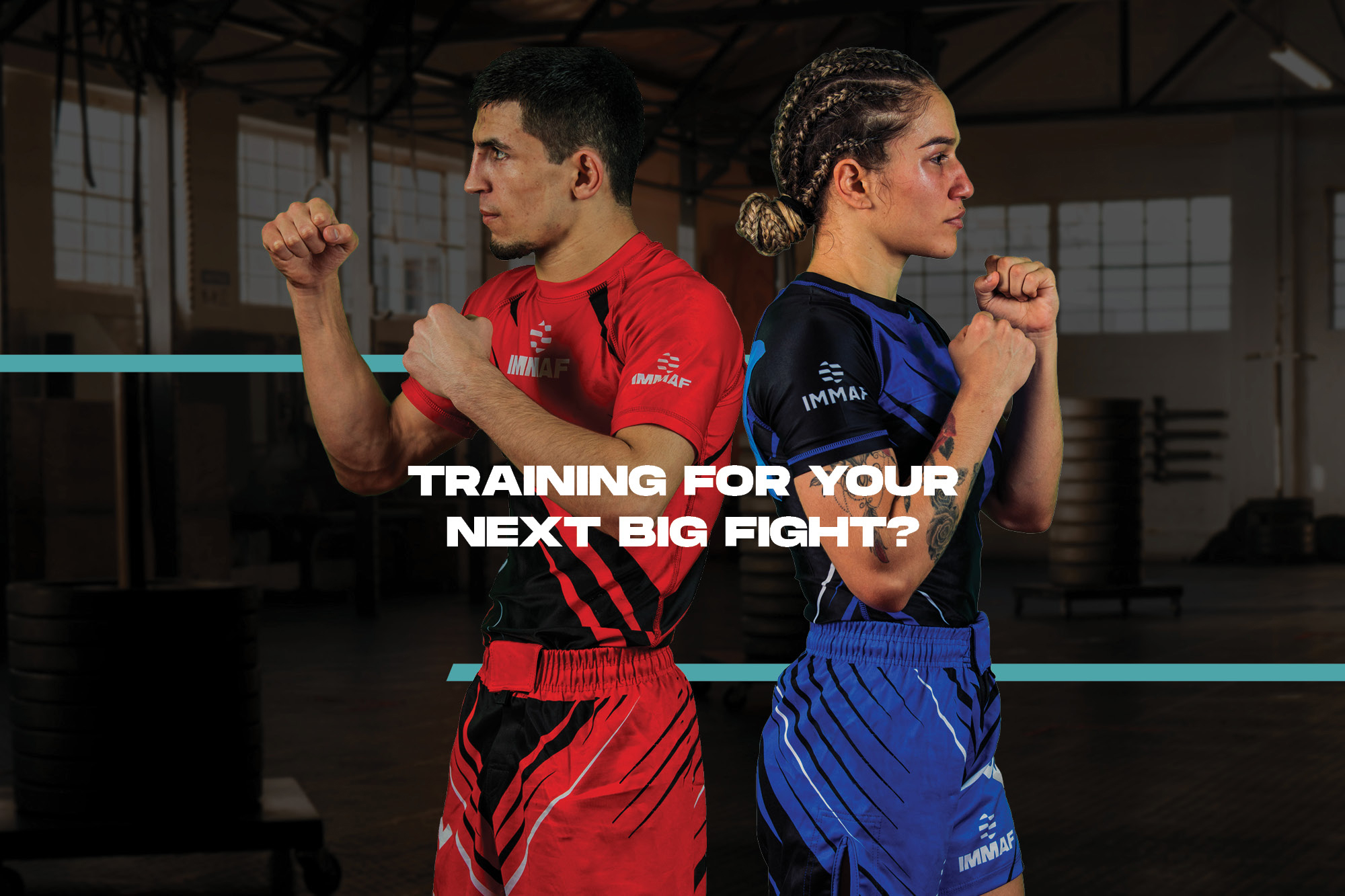 Training for your next big fight?